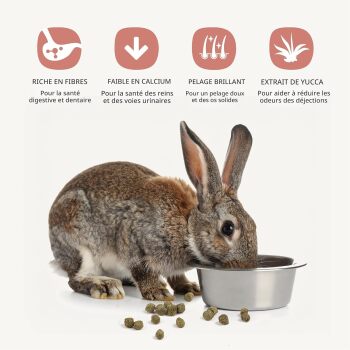 Nourriture extrudée pour lapin - Living World