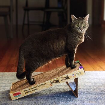 Boîte griffoir inclinée beige pour chats - Kong