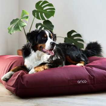 Coussin imperméable bordeaux pour chiens - Arico