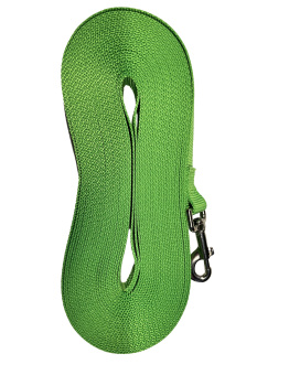 Laisse de rappel vert lime pour chien 1" – Les nylons du berger
