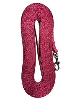 Laisse de rappel framboise pour chien 3/8" – Les nylons du berger