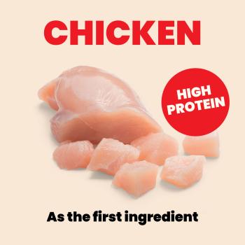 Conserve pour chatons au poulet - Almo Nature