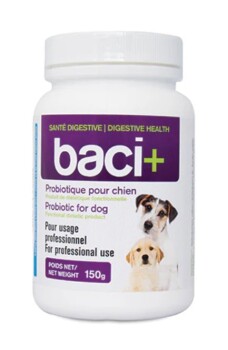 Probiotiques pour chiens format éleveur - Baci+