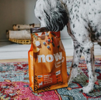 Nourriture pour chiens adultes sans grains - Now Fresh