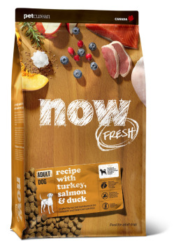 Nourriture pour chiens adultes sans grains - Now Fresh