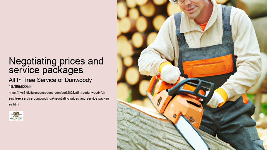 Negotiating prices and service packages