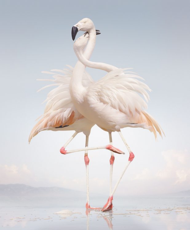 Simen Johan