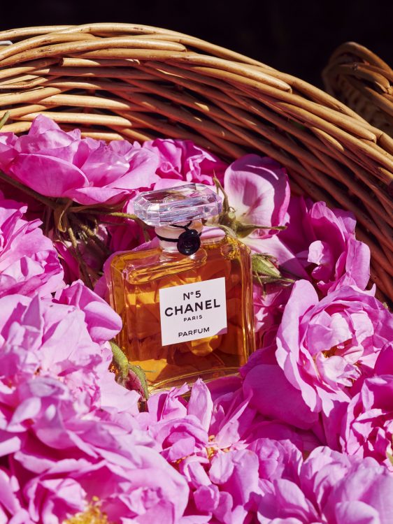 Chanel No.5