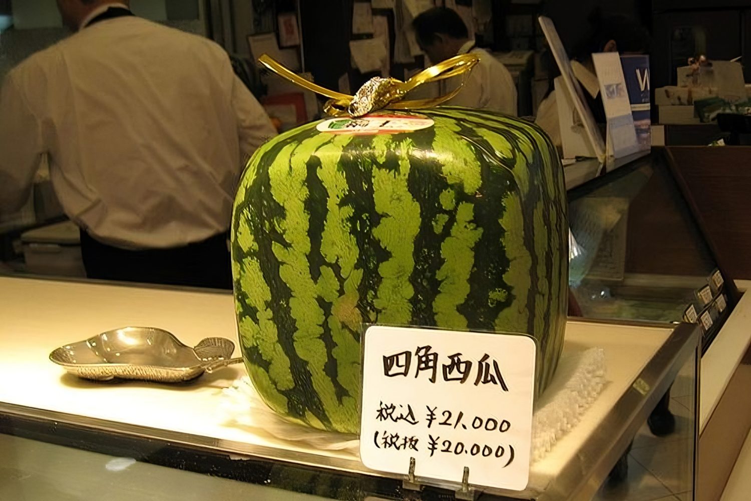 A square water melon in Japan