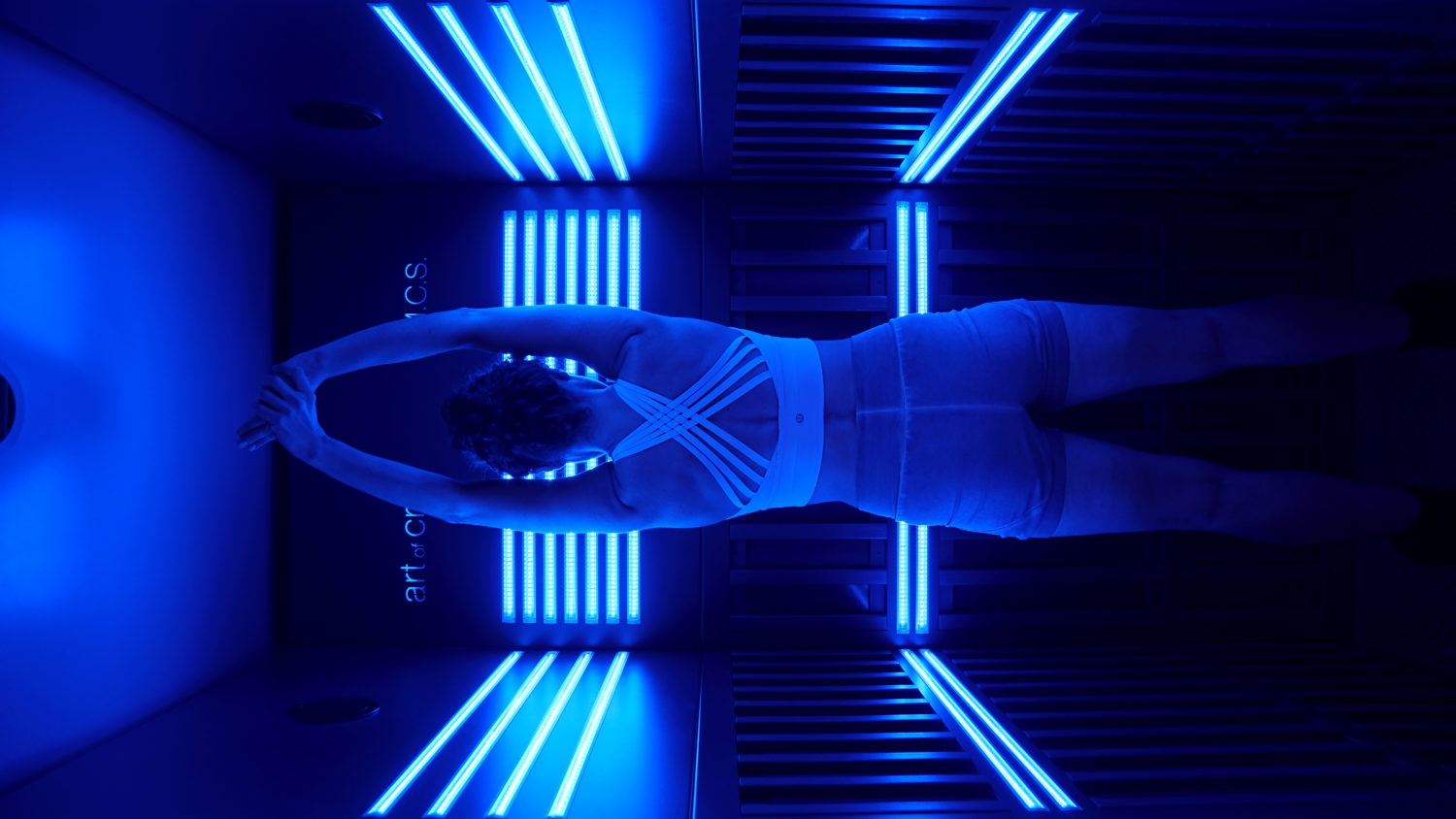 Vidavii Longevity Circuit