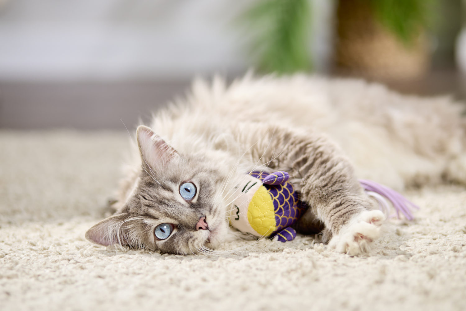 The Catnip Queen: Luxury Cat Toys That Have Even the Most