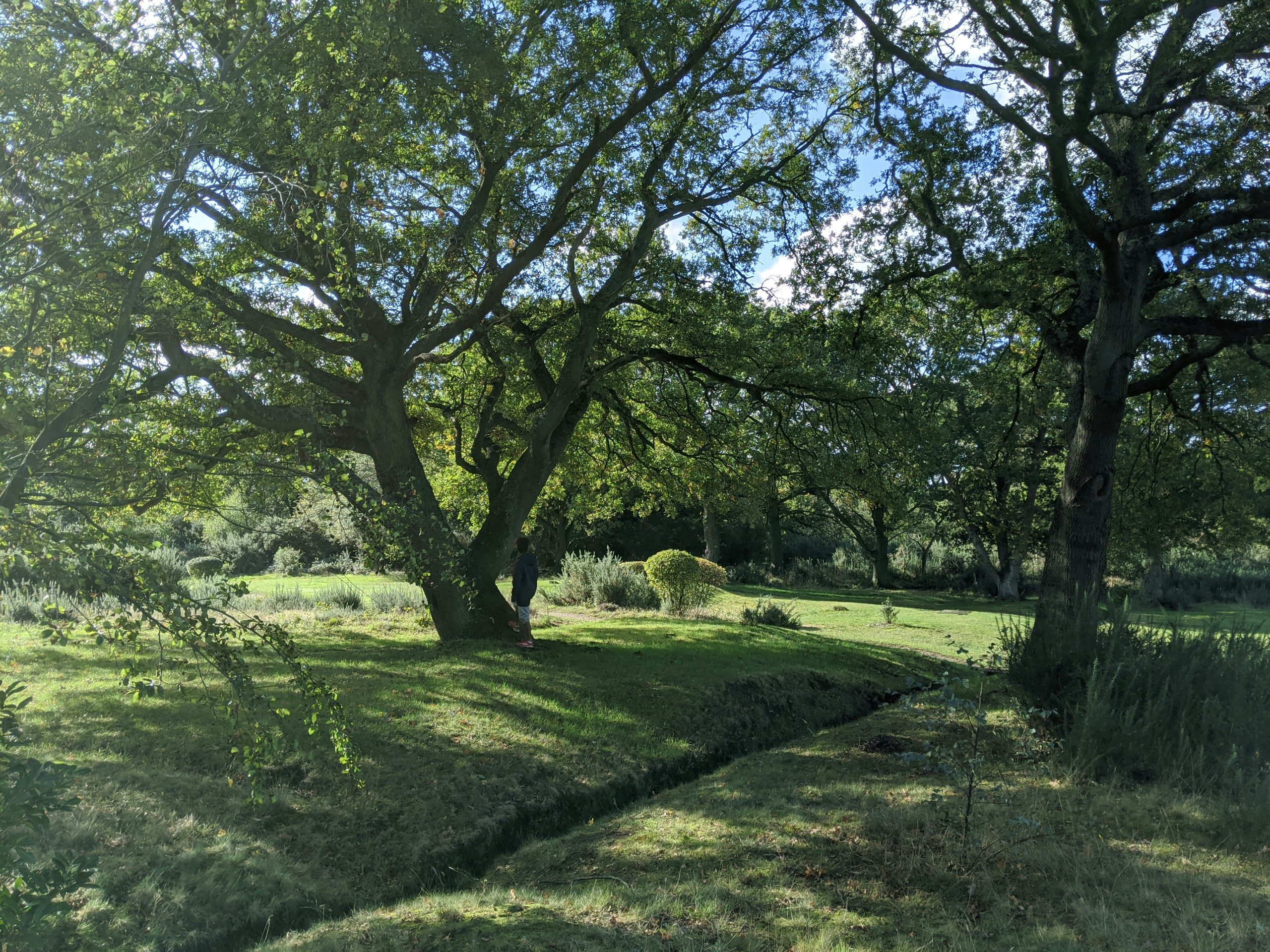 Living in Woodford: A Lifestyle Guide to London's Forest Edge Suburb