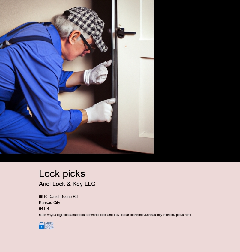 Lock picks