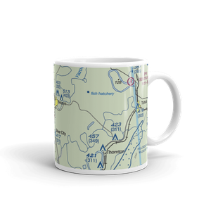 Turner Field (MS10) VFR Sectional  Mug