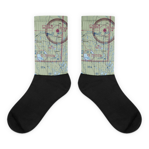 Snell's Seaplane Base (MN73) VFR Sectional Socks