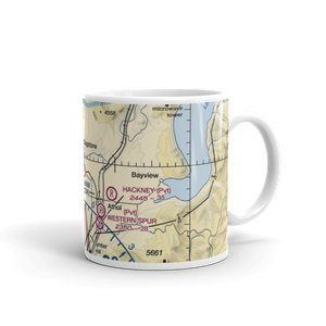 Treeport Airport (ID22) VFR Sectional  Mug