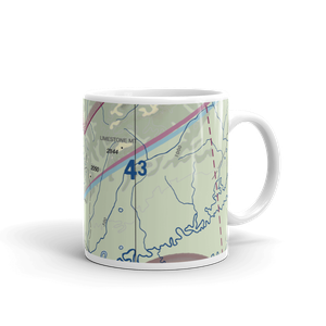 Nixon Fork Mine Airport (AK40) VFR Sectional  Mug