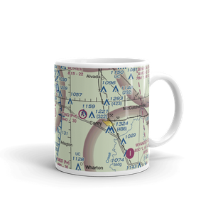 Lutz Airport (9OH7) VFR Sectional  Mug