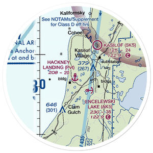 Hackney Landing Seaplane Base (96AK) VFR Sectional Sticker (20 mile)