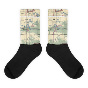 Franklin's Plainview Airport (8NE6) VFR Sectional Socks