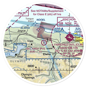 Big Andy Airport (7WA0) VFR Sectional Sticker (20 mile)