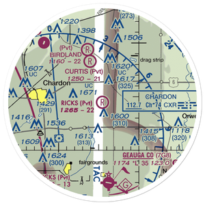 Rick's Airport (73OI) VFR Sectional Sticker (20 mile)