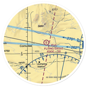 Flying Eagle Ranch Airport (65TX) VFR Sectional Sticker (20 mile)