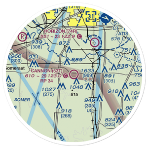 Cannon Field (53TX) VFR Sectional Sticker (20 mile)