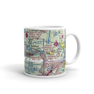 Trump Airport (16OI) VFR Sectional  Mug