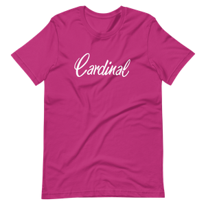 Cessna Cardinal Distressed T-Shirt