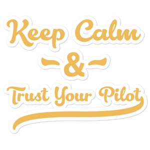 Keep Calm and Trust Your Pilot Sticker