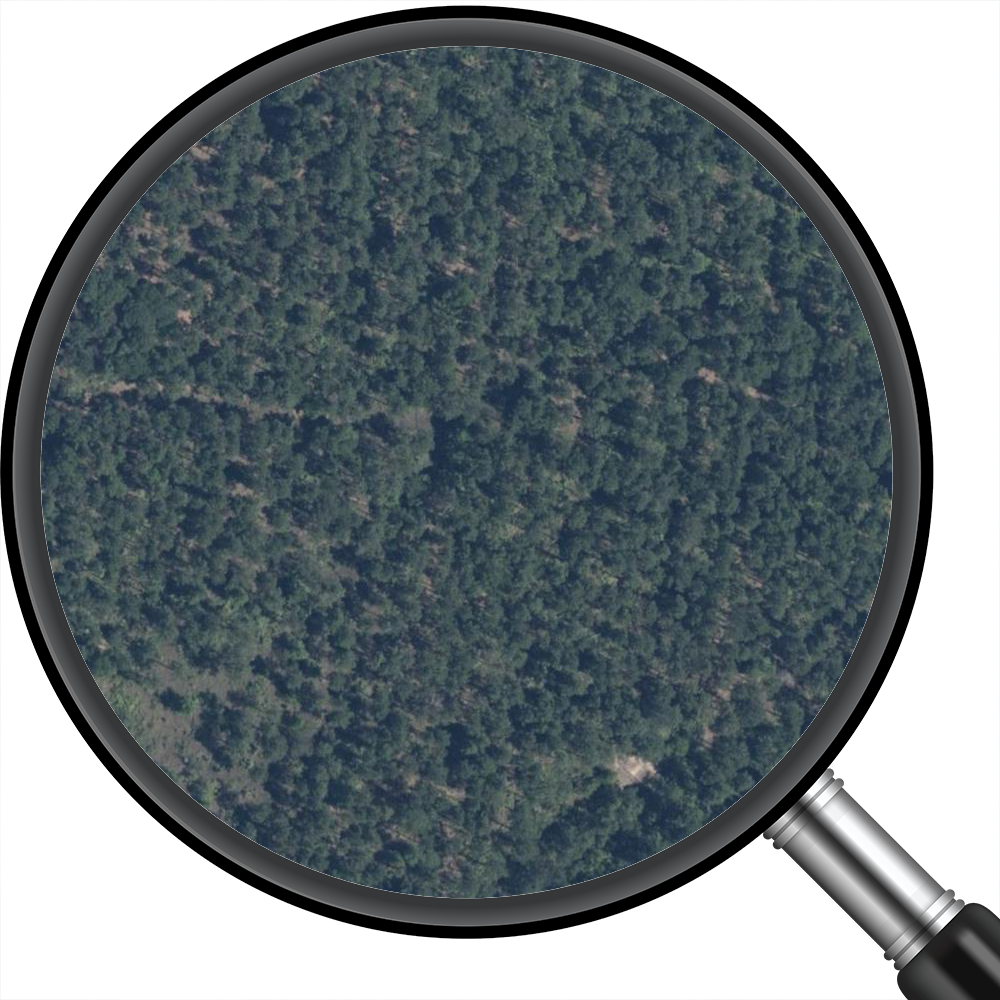 Beauregard Regional Airport (KDRI) Satellite Image Poster 