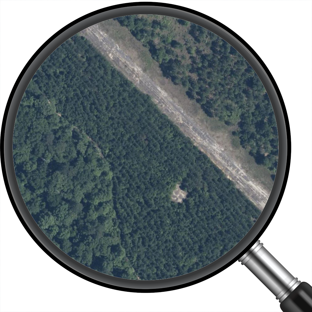 Beauregard Regional Airport (KDRI) Satellite Image Poster 