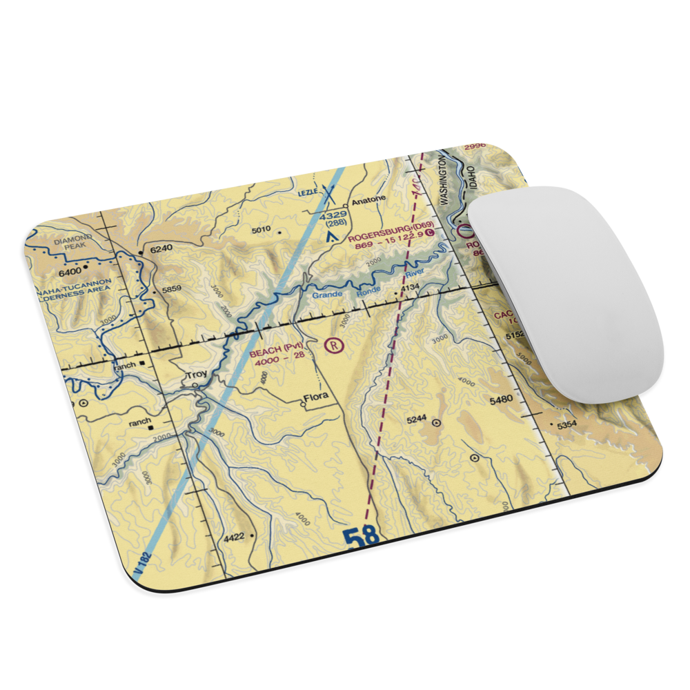 Beach Ranch Airport (OR64) VFR Sectional Mouse Pad 