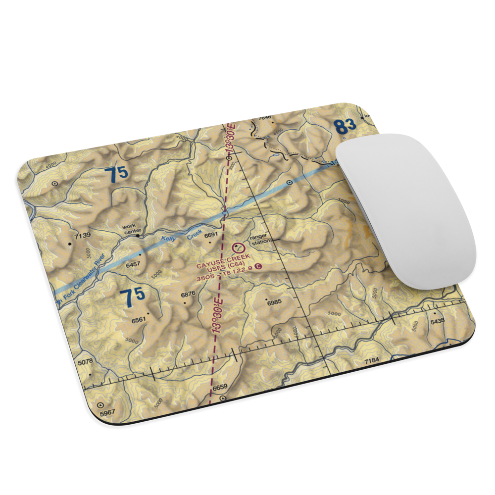 Cayuse Creek /US Forest Service Airport (C64) VFR Sectional Mouse Pad 