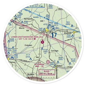 Cuthbert-Randolph Airport (25J) VFR Sectional Sticker (30 mile)