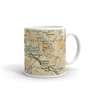 Gansner Field (2O1) VFR Sectional  Mug