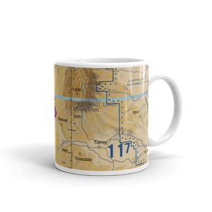 Wayne Wonderland Airport (38U) VFR Sectional  Mug