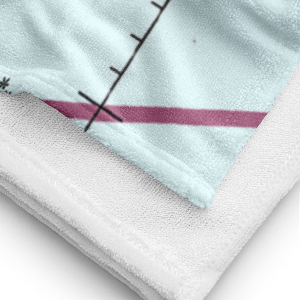 Chignik Bay Seaplane Base (Z78) VFR Sectional Towel 