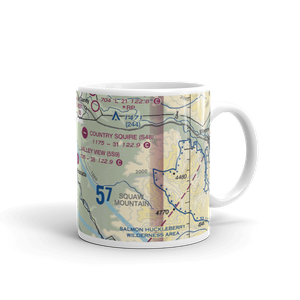 Valley View Airport (5S9) VFR Sectional  Mug
