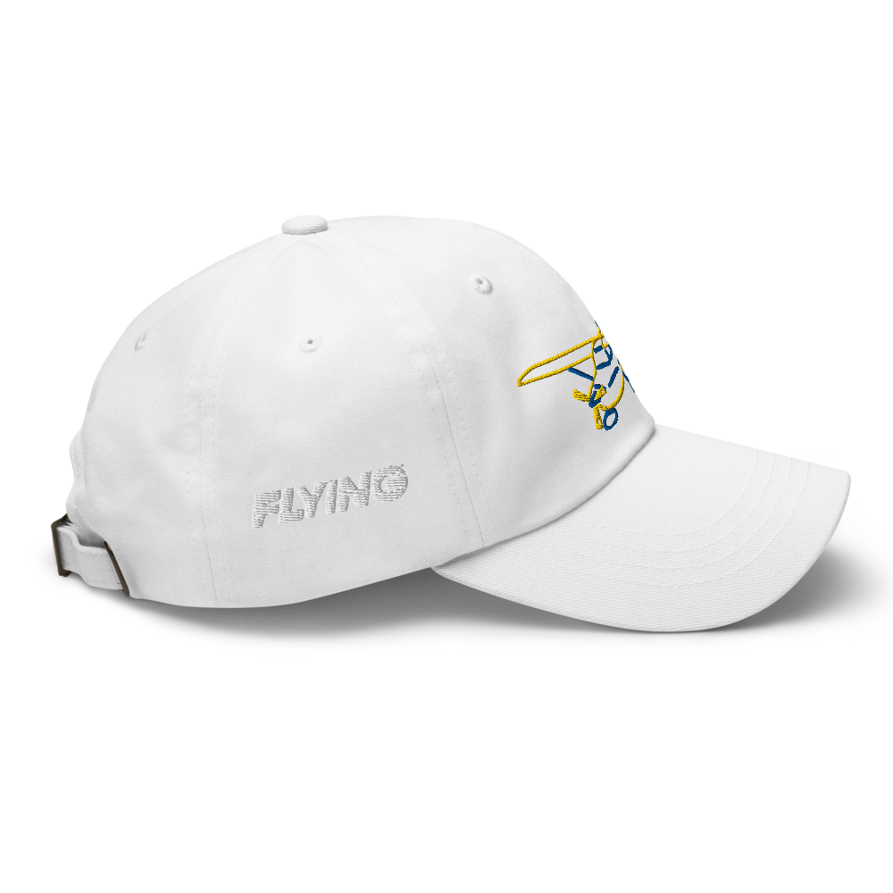 Cessna 172 Hat (blue and gold aircraft design) 