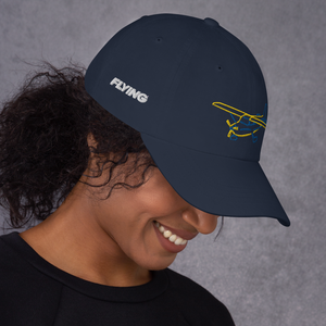 Cessna 172 Hat (blue and gold aircraft design)