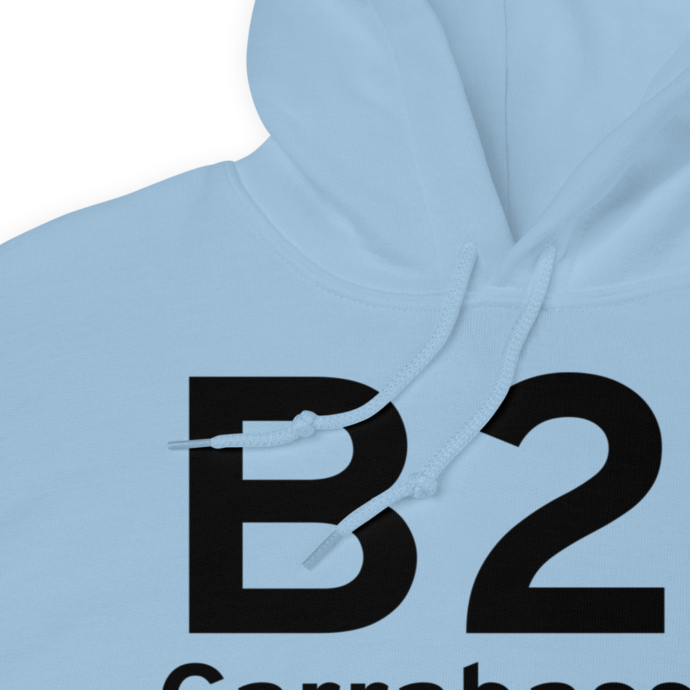 Carrabassett (KB21) Airport Hoodie Sweatshirt 
