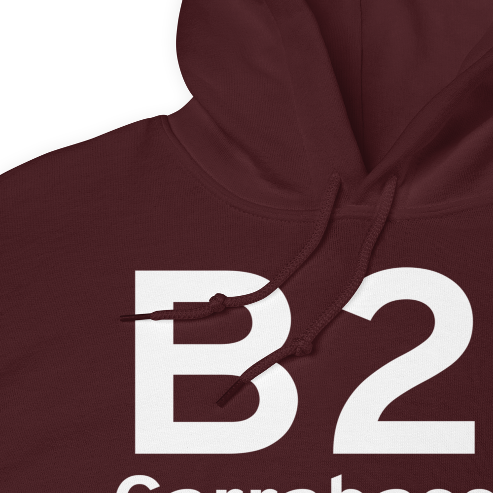 Carrabassett (KB21) Airport Hoodie Sweatshirt 