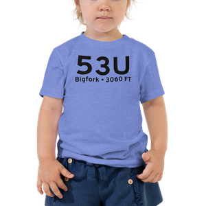 Bigfork (53U) Airport Toddler T-Shirt