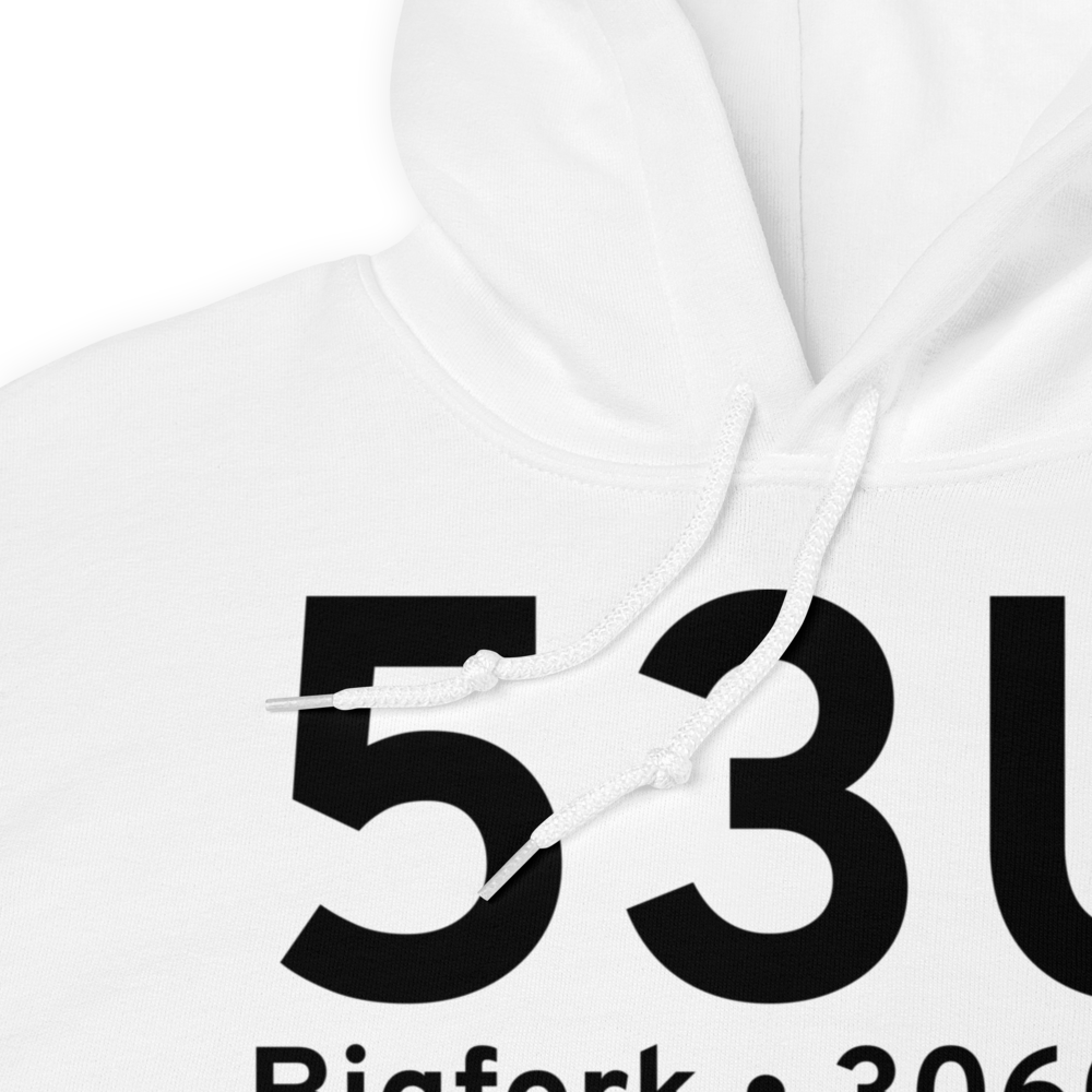 Bigfork (53U) Airport Hoodie Sweatshirt 