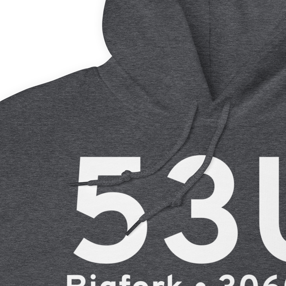 Bigfork (53U) Airport Hoodie Sweatshirt 