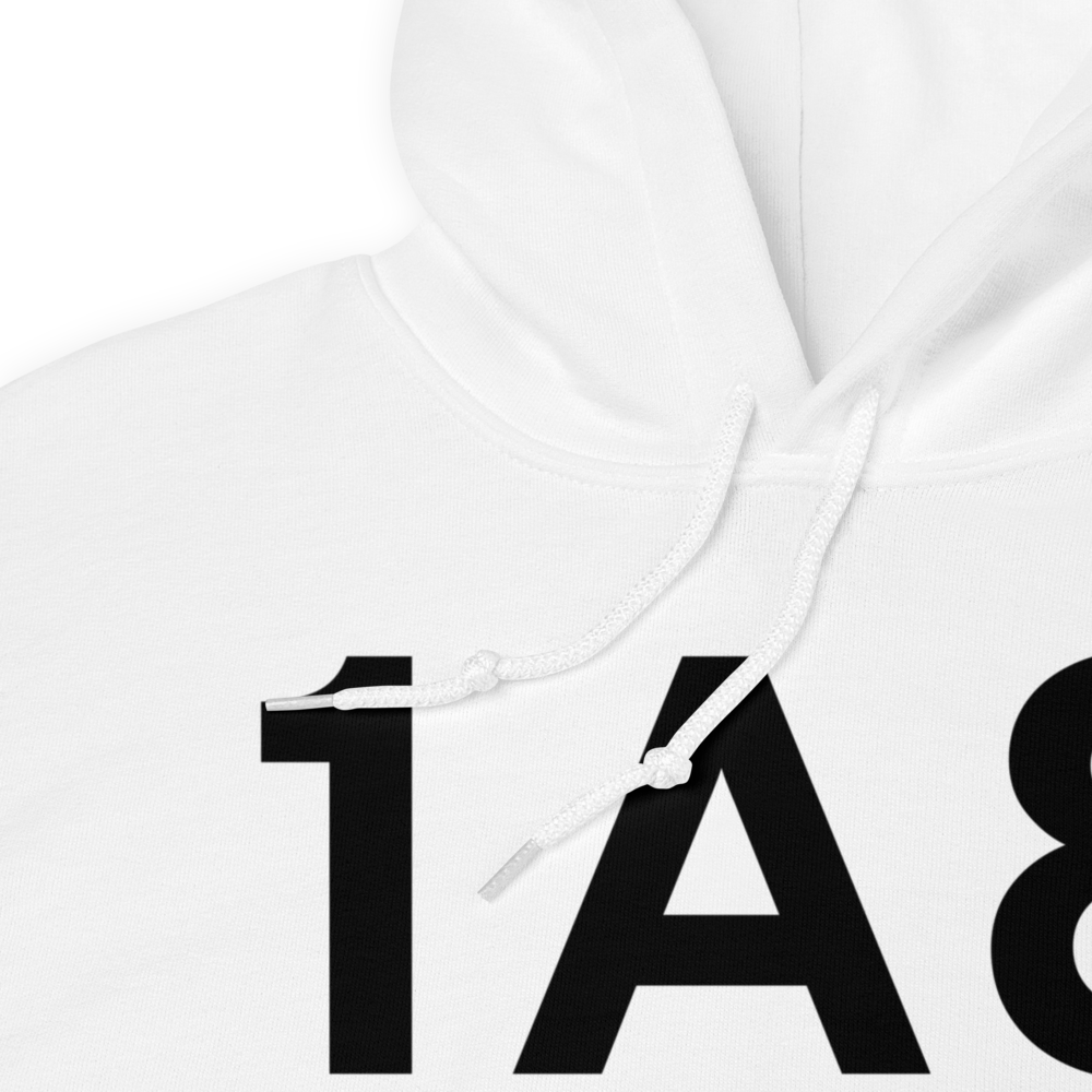 Empire (1A8) Airport Hoodie Sweatshirt 