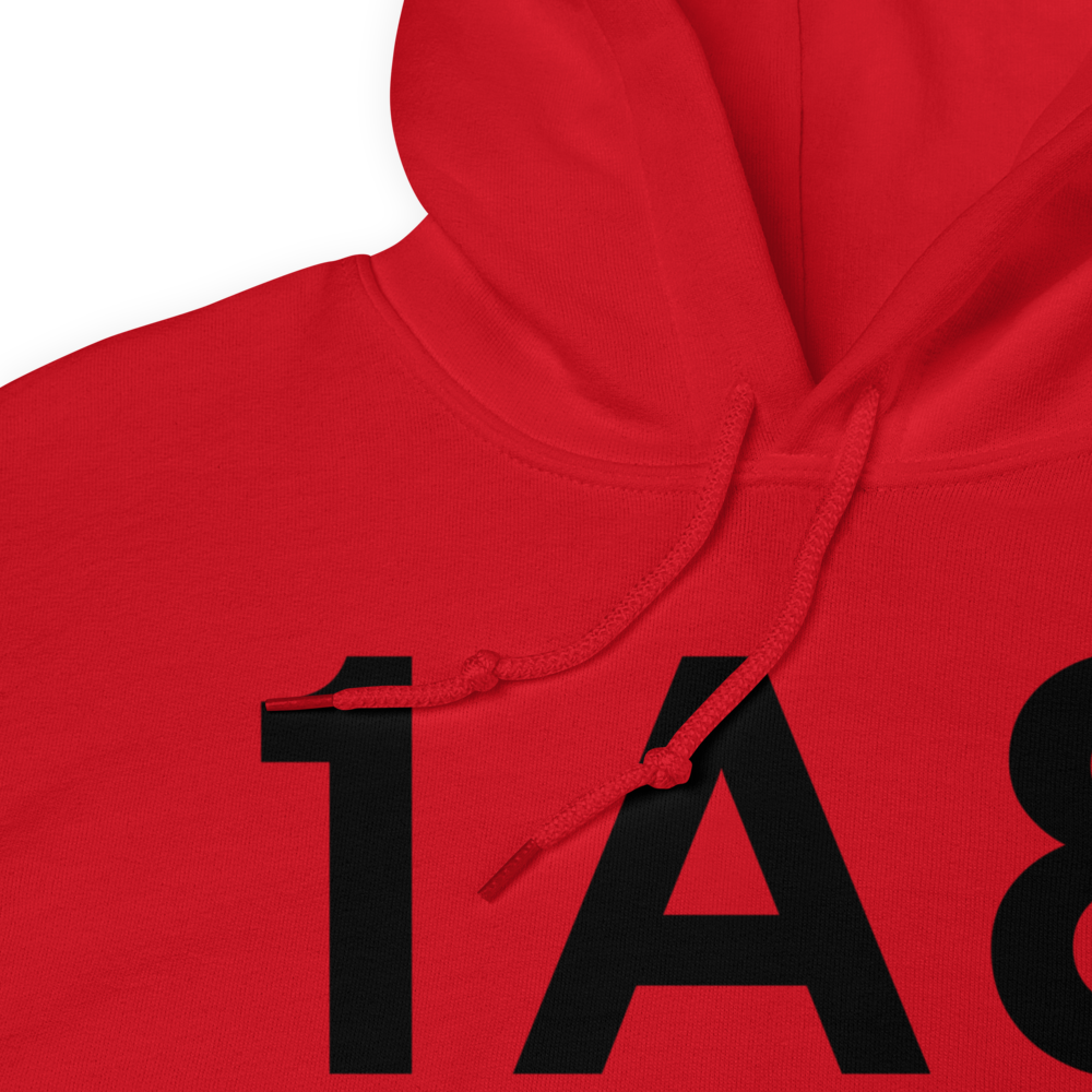 Empire (1A8) Airport Hoodie Sweatshirt 