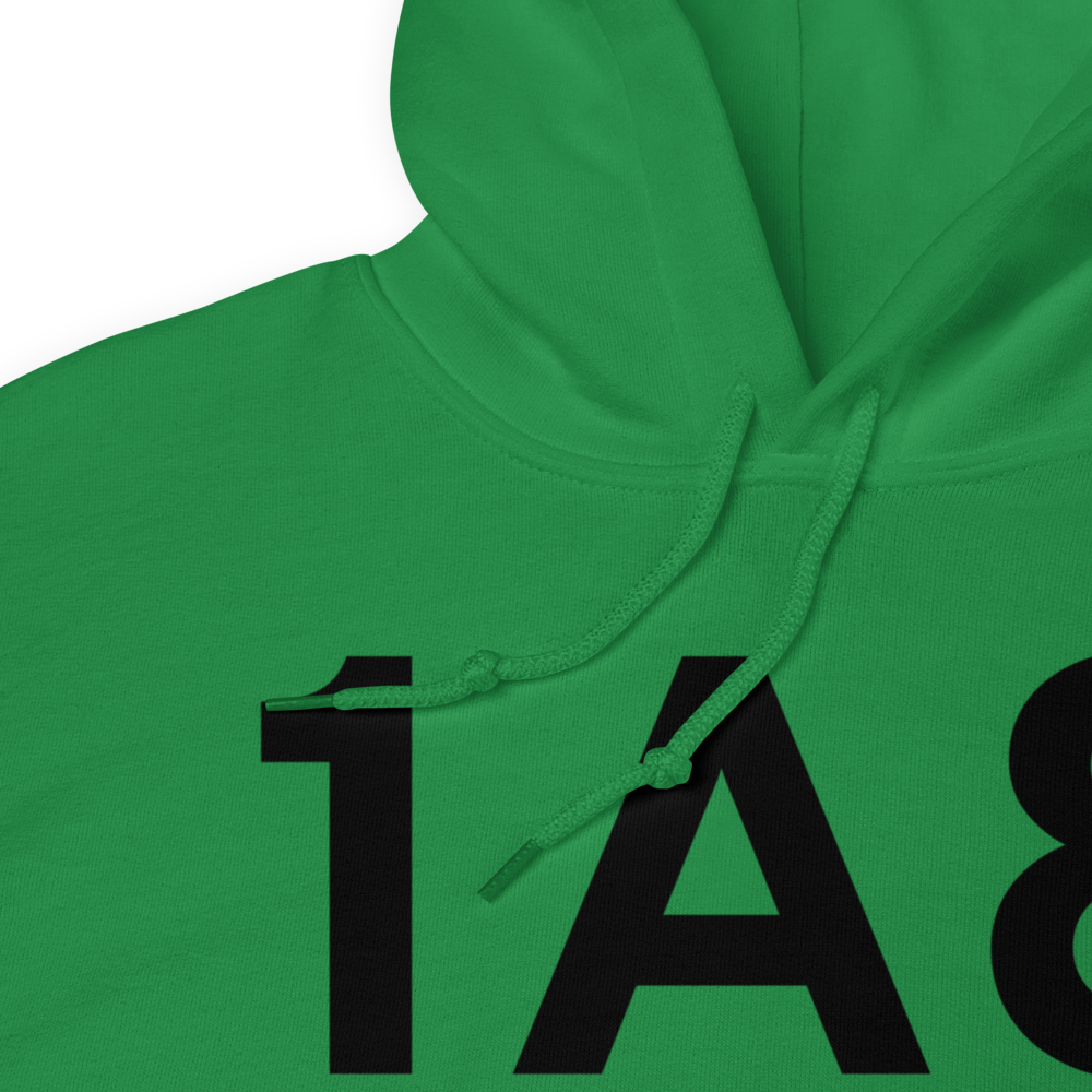 Empire (1A8) Airport Hoodie Sweatshirt 